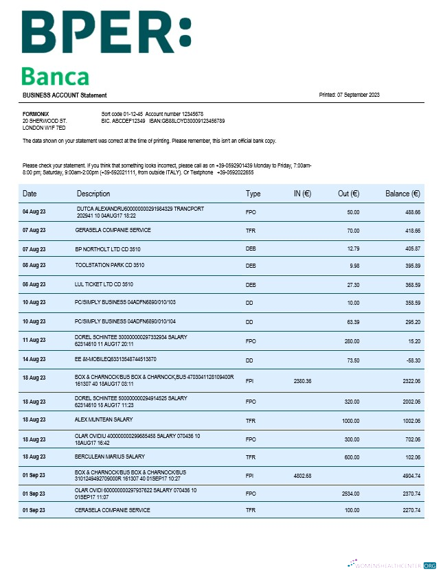 Download BPER Group organization statement Word and PDF template Photoshop template